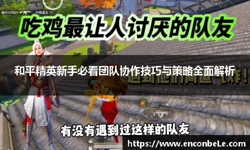 和平精英新手必看团队协作技巧与策略全面解析